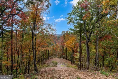 Lot 269 Canoe Way, Talking Rock, GA 30175 - Photo 18