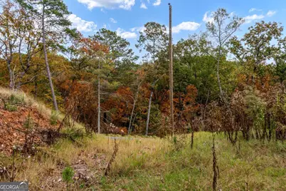 Lot 269 Canoe Way, Talking Rock, GA 30175 - Photo 24