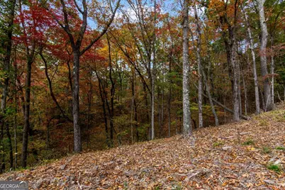Lot 269 Canoe Way, Talking Rock, GA 30175 - Photo 22
