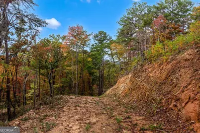 Lot 269 Canoe Way, Talking Rock, GA 30175 - Photo 16