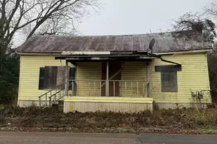 628 M L King St, Greenville, GA 30222 - Photo 20