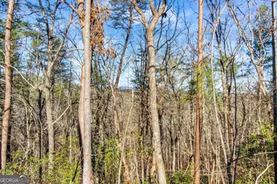 6.44 Whispering Oaks Drive, Ellijay, GA 30540 - Photo 32