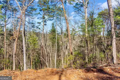 6.44 Whispering Oaks Drive, Ellijay, GA 30540 - Photo 28