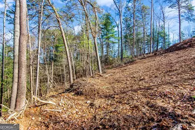 6.44 Whispering Oaks Drive, Ellijay, GA 30540 - Photo 34