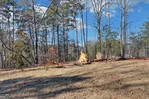 1889 Riverdale Rd, Toccoa, GA 30577 - Photo 48