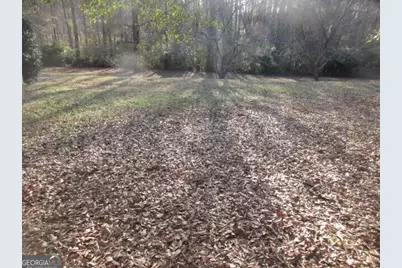 196 Charlie Sheppard Road, Jackson, GA 30233 - Photo 8