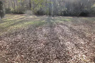 196 Charlie Sheppard Rd, Jackson, GA 30233 - Photo 8