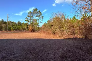 5817 Cantrell Rd, Patterson, GA 31557 - Photo 36