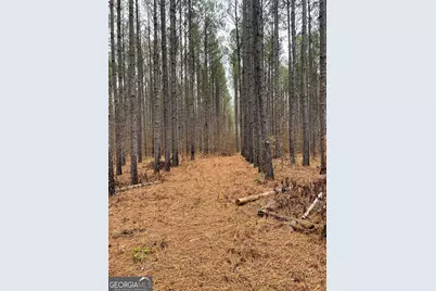 0 Hebron Church Road, Thomaston, GA 30286 - Photo 10