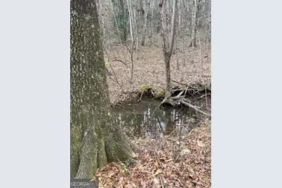 0 Hebron Church Road, Thomaston, GA 30286 - Photo 8