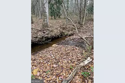 0 Hebron Church Road, Thomaston, GA 30286 - Photo 6