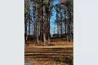 233 Begonia Road, Sparta, GA 31087 - Photo 26