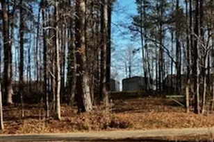 233 Begonia Rd, Sparta, GA 31087 - Photo 26