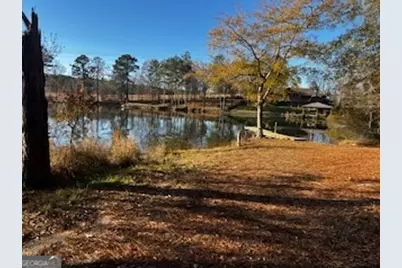 233 Begonia Road, Sparta, GA 31087 - Photo 22