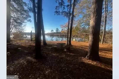 233 Begonia Road, Sparta, GA 31087 - Photo 24