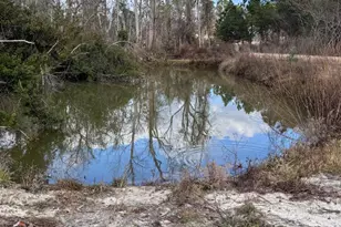 63 Reagin Rd, Hazlehurst, GA 31539 - Photo 36