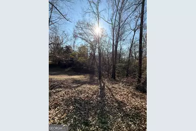 3608 Franklinton Road, Dry Branch, GA 31020 - Photo 6