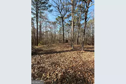 3608 Franklinton Road, Dry Branch, GA 31020 - Photo 4