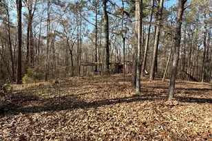 3608 Franklinton Rd, Dry Branch, GA 31020 - Photo 4