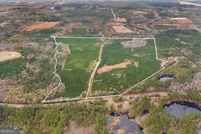 0 Jacob Wilkinson Circle, Claxton, GA 30417 - Photo 1
