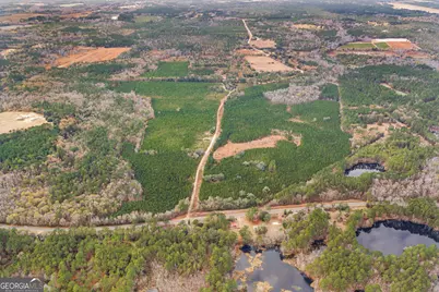 0 Jacob Wilkinson Circle, Claxton, GA 30417 - Photo 2