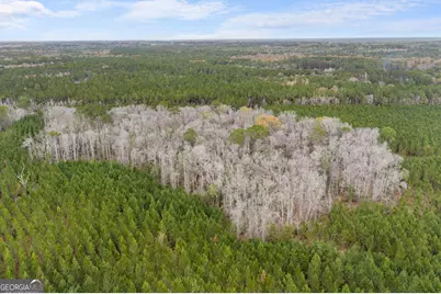 0 Jacob Wilkinson Circle, Claxton, GA 30417 - Photo 8