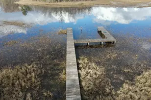 8049 Lake Eloise Dr, Donalsonville, GA 39845 - Photo 24