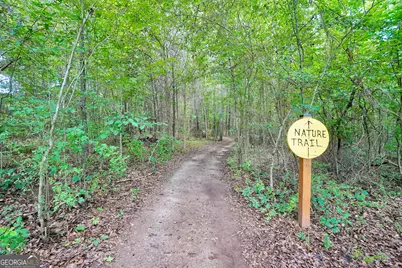 2985 Teamon Road, Griffin, GA 30223 - Photo 48