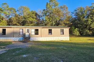 596 Arnett School Rd, Sylvania, GA 30467 - Photo 1