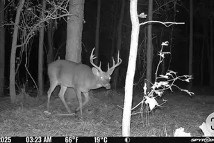 596 Arnett School Rd, Sylvania, GA 30467 - Photo 28