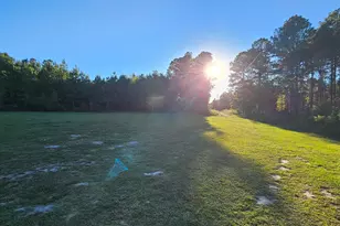 596 Arnett School Rd, Sylvania, GA 30467 - Photo 18