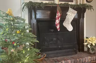 7449 Ga Hwy 355, Box Springs, GA 31801 - Photo 30