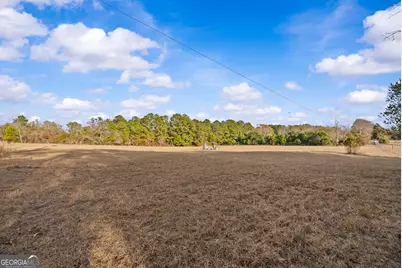 7449 Ga Hwy 355, Box Springs, GA 31801 - Photo 50