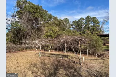 7449 Ga Hwy 355, Box Springs, GA 31801 - Photo 40