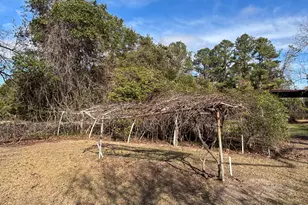 7449 Ga Hwy 355, Box Springs, GA 31801 - Photo 40