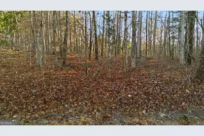 0 Stephen Drive, Toccoa, GA 30577 - Photo 2