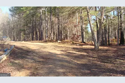 758 Mahaley Road, Franklin, GA 30217 - Photo 42