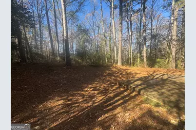 3439 Bleckley Drive, Lithonia, GA 30038 - Photo 14