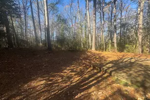 3439 Bleckley Dr, Lithonia, GA 30038 - Photo 14