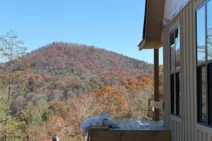 20B Twin Springs Rd, Mineral Bluff, GA 30559 - Photo 6