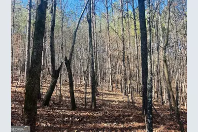 0 Bluff Springs Road, Ashland, AL 36251 - Photo 12