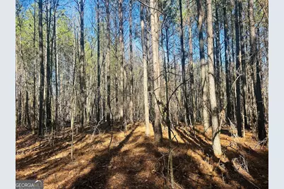 0 Bluff Springs Road, Ashland, AL 36251 - Photo 10