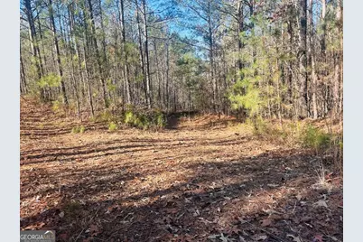 0 Bluff Springs Road, Ashland, AL 36251 - Photo 8