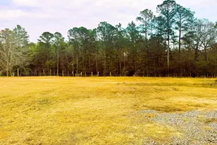 105 Dowdy Ct, Perry, GA 31069 - Photo 10