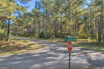 Lot 14 Sweet Magnolia Circle Dublin, Dublin, GA 31021 - Photo 6