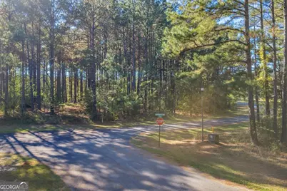 Lot 14 Sweet Magnolia Circle Dublin, Dublin, GA 31021 - Photo 10