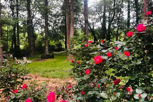 5370 Memphis St, Cumming, GA 30040 - Photo 26