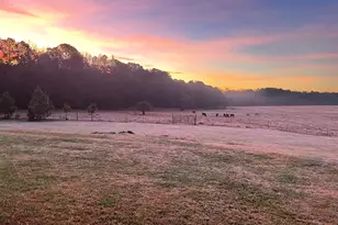 1911 Ellis Rd, Hogansville, GA 30230 - Photo 36