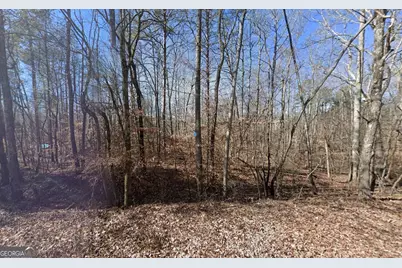 2550 Pettit Road, Jasper, GA 30143 - Photo 2