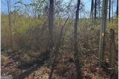 0 Norton Road, Kingston, GA 30145 - Photo 2